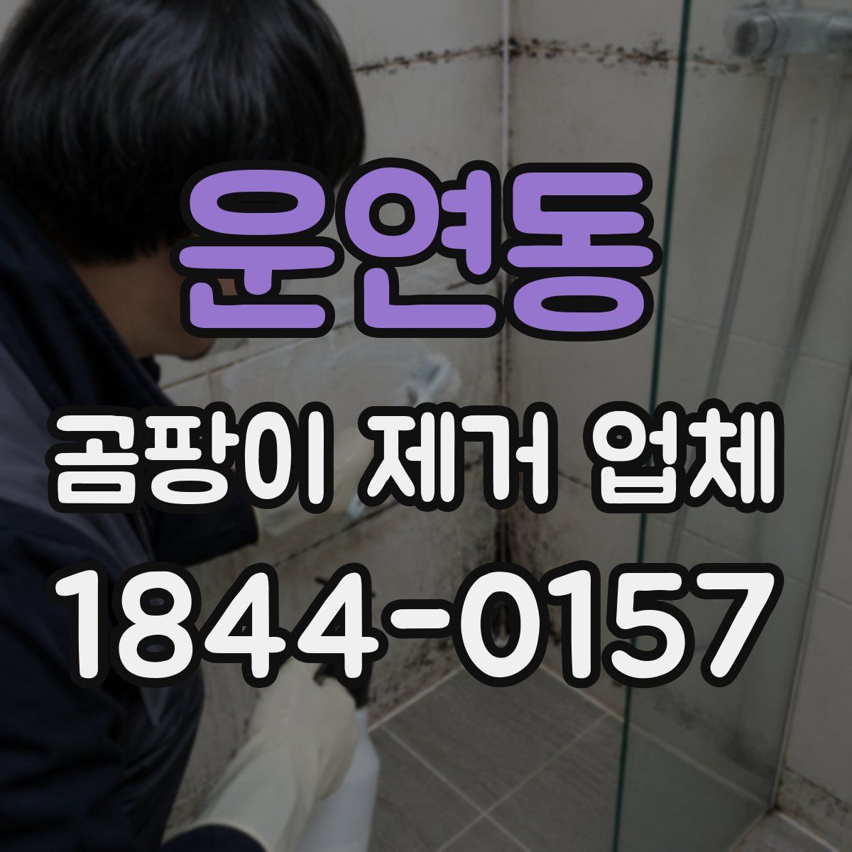 운연동 곰팡이 제거 업체
