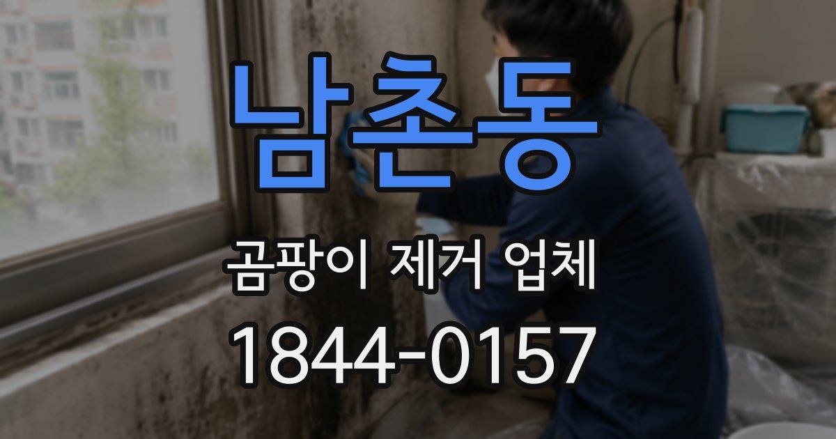 남촌동 곰팡이 제거 업체