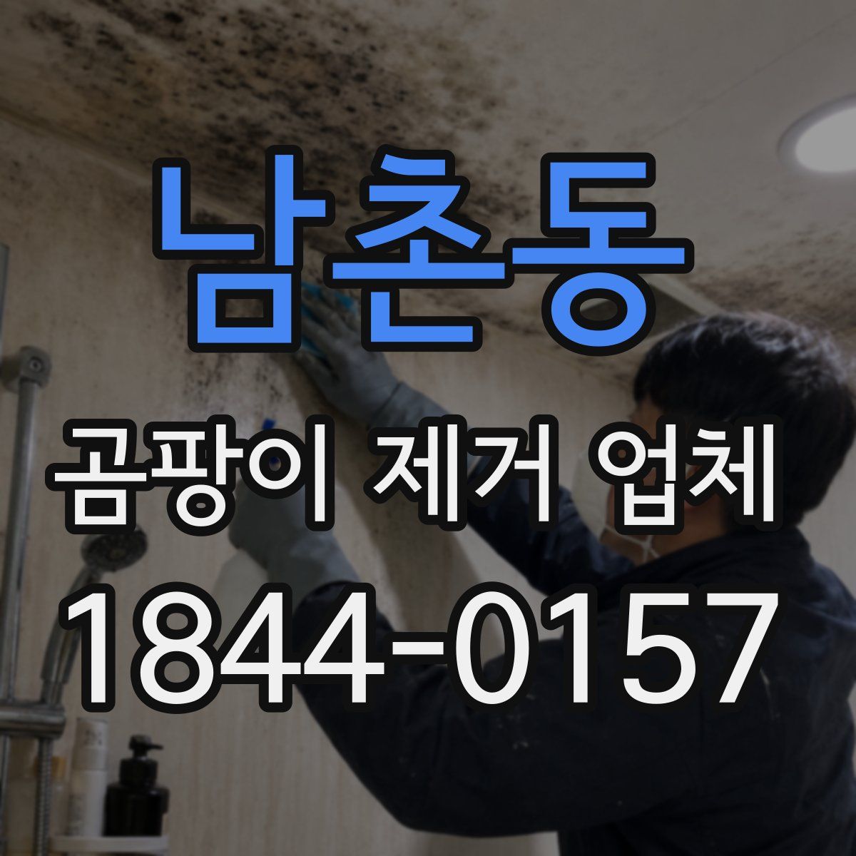 남촌동 곰팡이 제거 업체