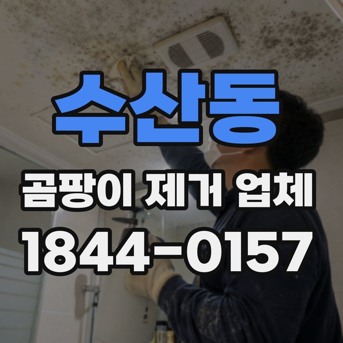 수산동 곰팡이 제거 업체 상담 시 질문 리스트