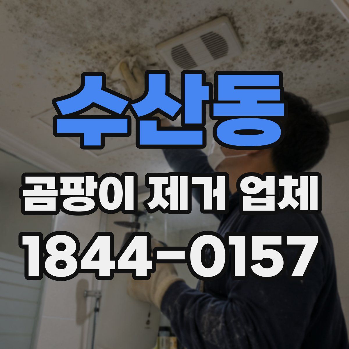 수산동 곰팡이 제거 업체