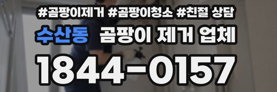 수산동 곰팡이 제거 업체