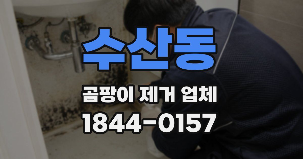 수산동 곰팡이 제거 업체
