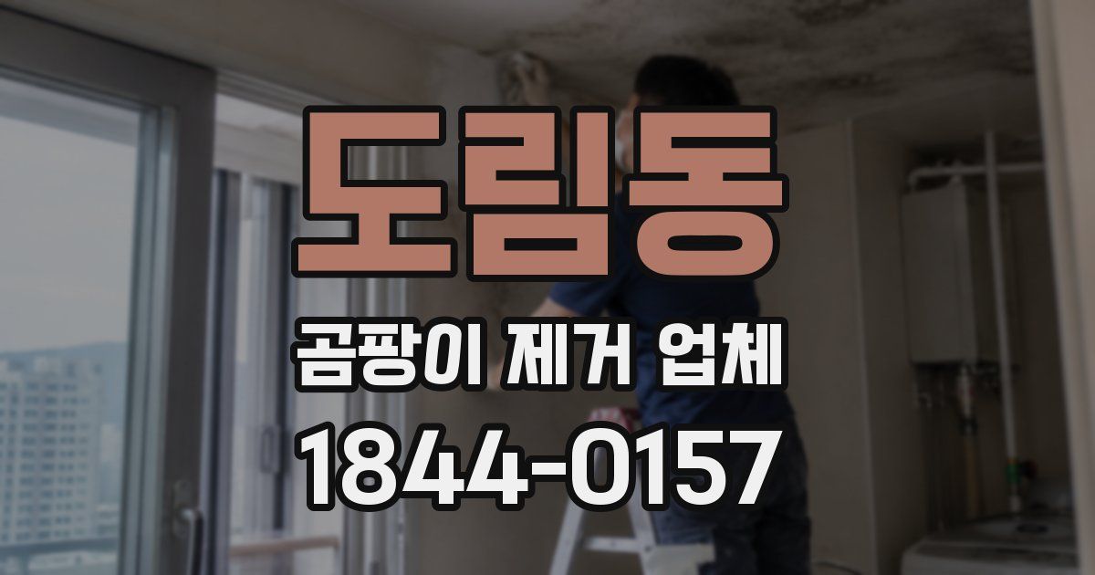 도림동 곰팡이 제거 업체