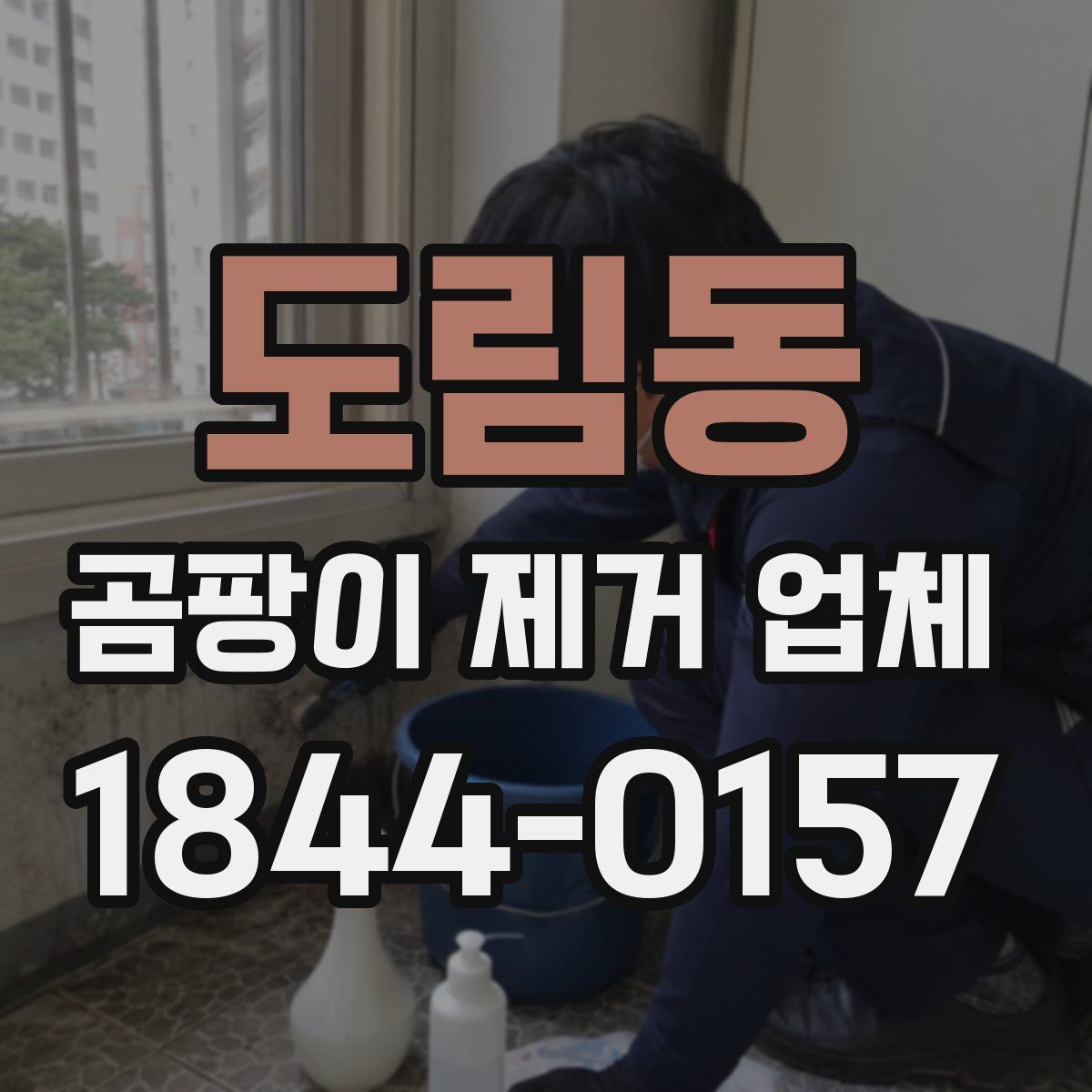 도림동 곰팡이 제거 업체