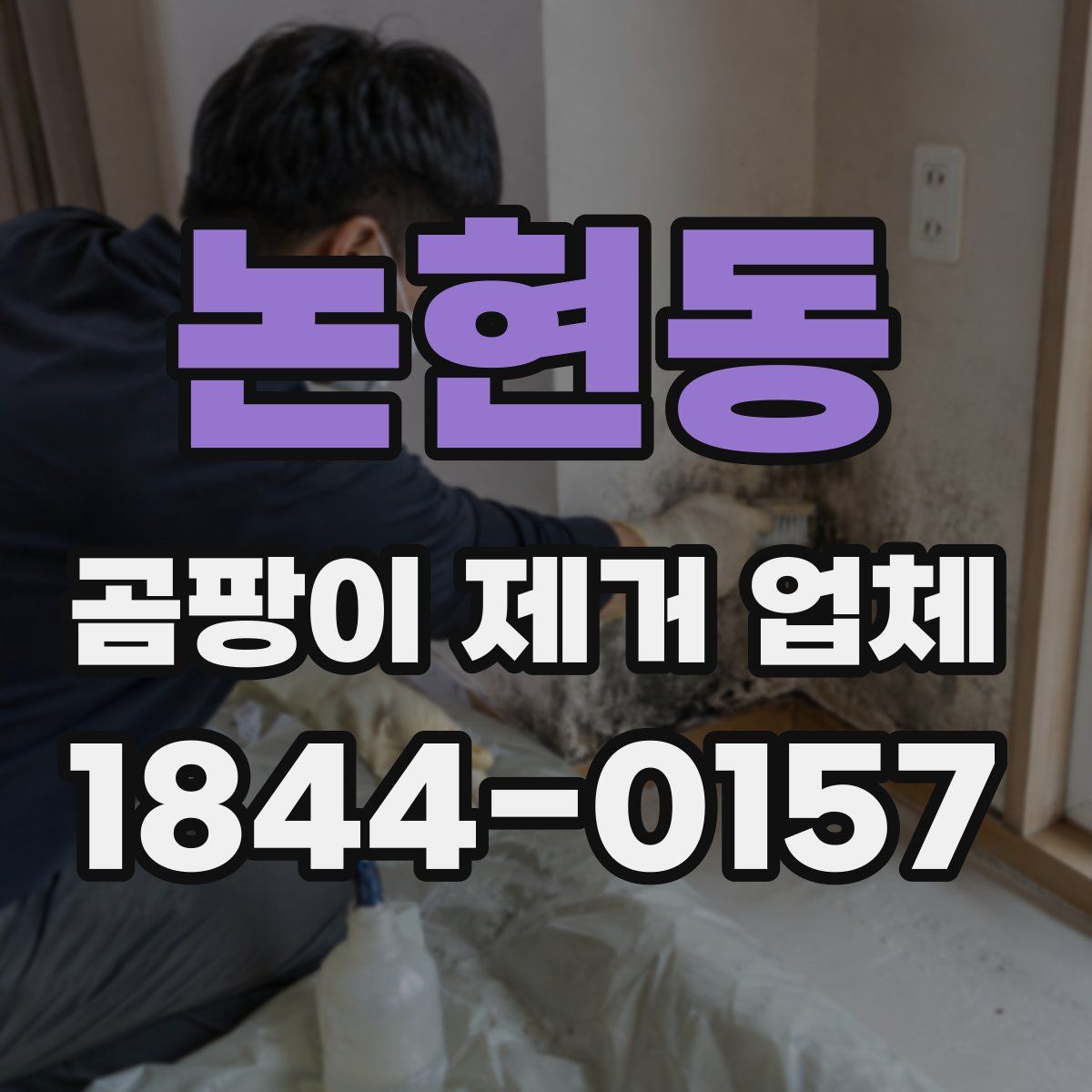 논현동 곰팡이 제거 업체