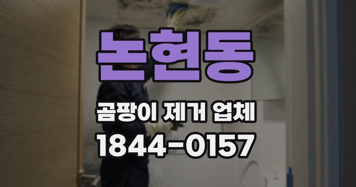 논현동 곰팡이 제거 업체