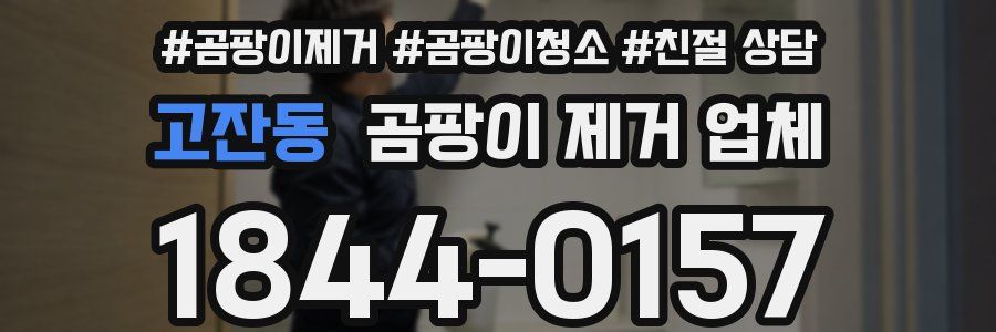 고잔동 곰팡이 제거 업체
