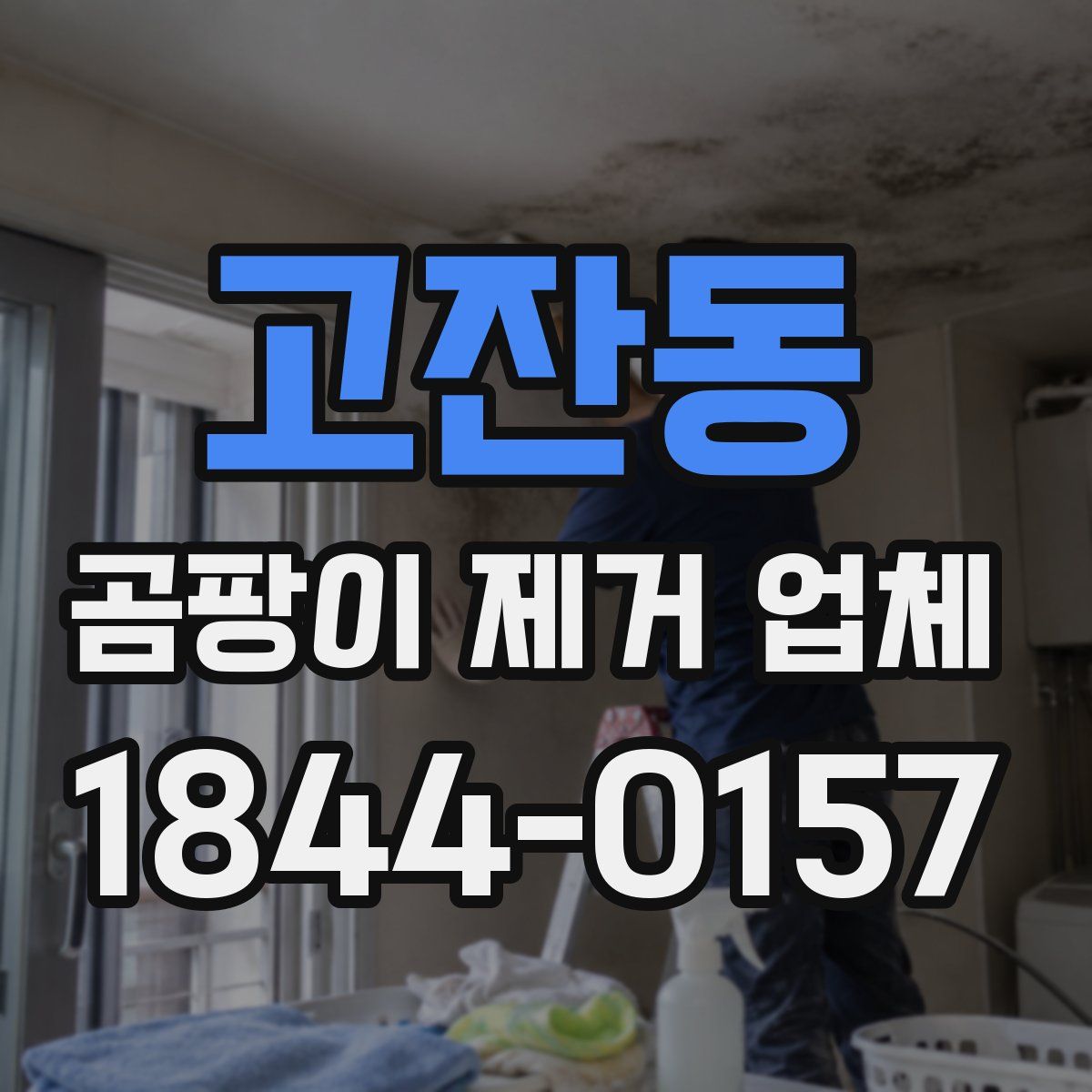 고잔동 곰팡이 제거 업체