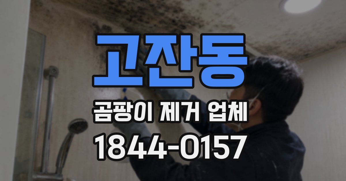 고잔동 곰팡이 제거 업체