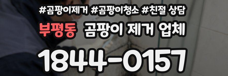 부평동 곰팡이 제거 업체