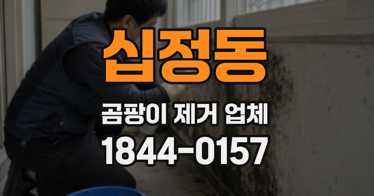 십정동 곰팡이 제거 업체