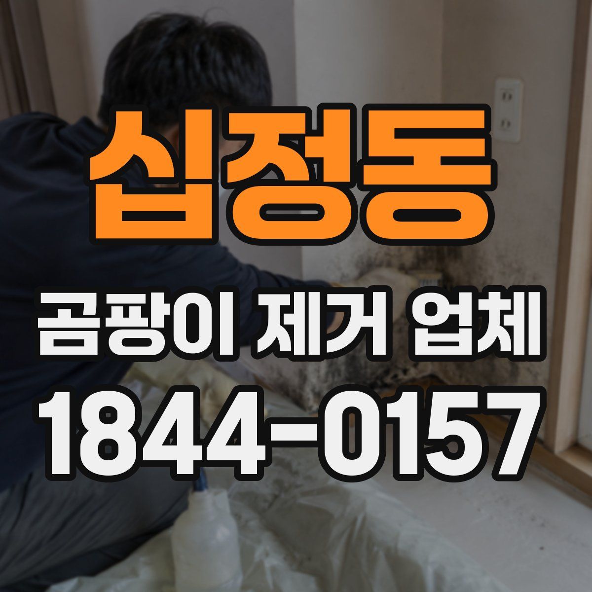 십정동 곰팡이 제거 업체