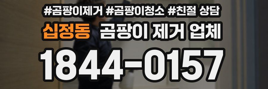 십정동 곰팡이 제거 업체