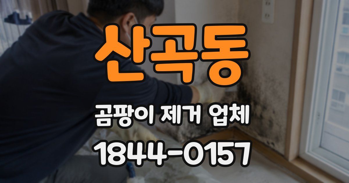 산곡동 곰팡이 제거 업체