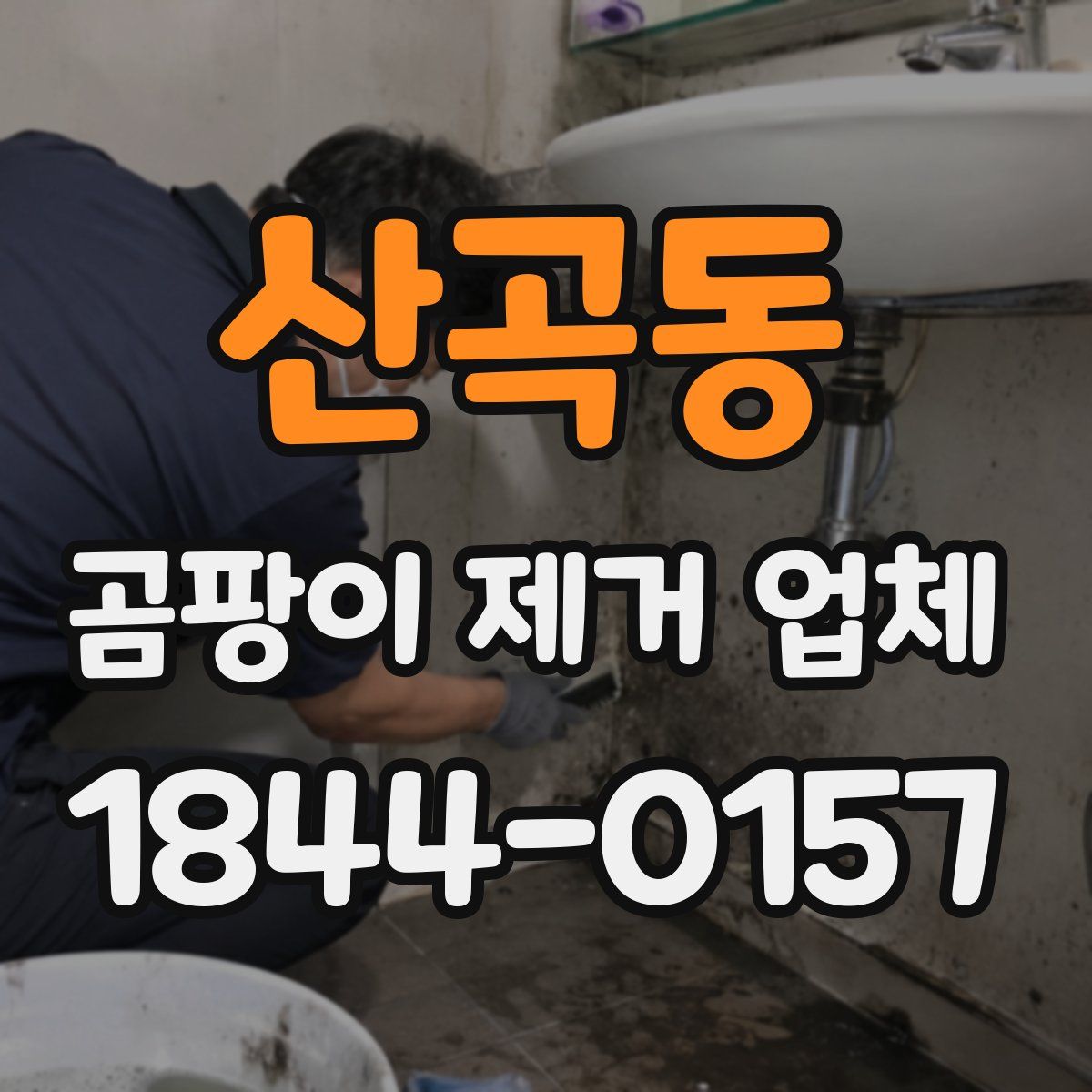 산곡동 곰팡이 제거 업체