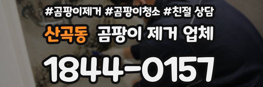 산곡동 곰팡이 제거 업체
