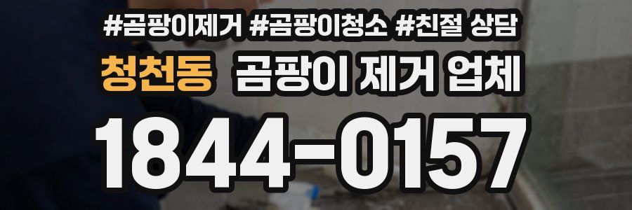 청천동 곰팡이 제거 업체