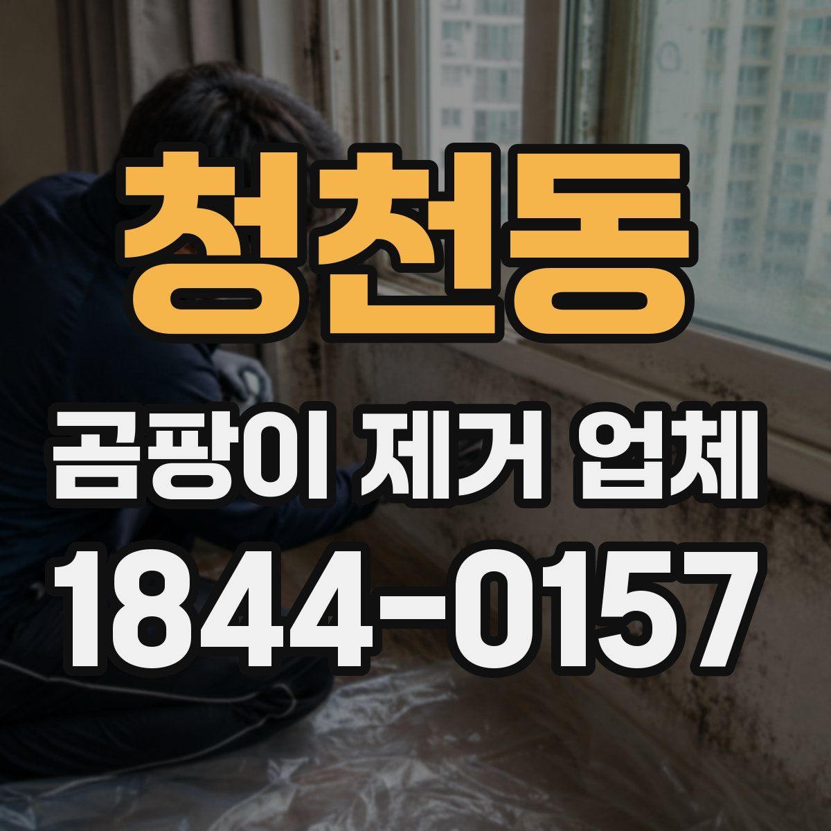 청천동 곰팡이 제거 업체