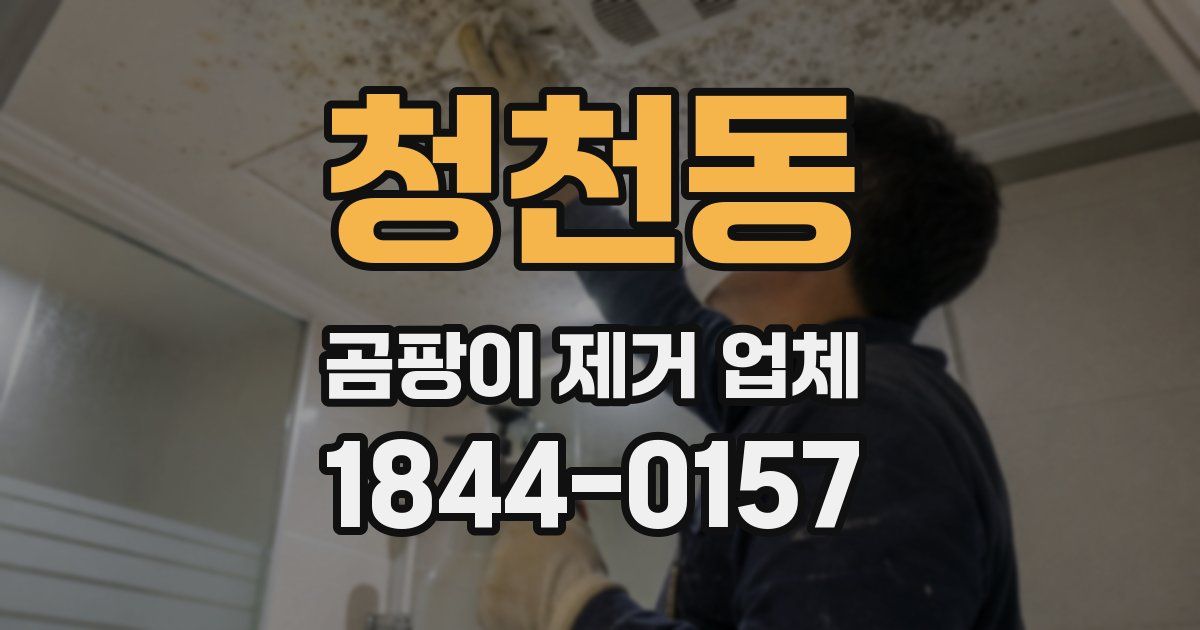 청천동 곰팡이 제거 업체
