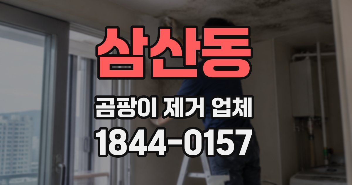 삼산동 곰팡이 제거 업체