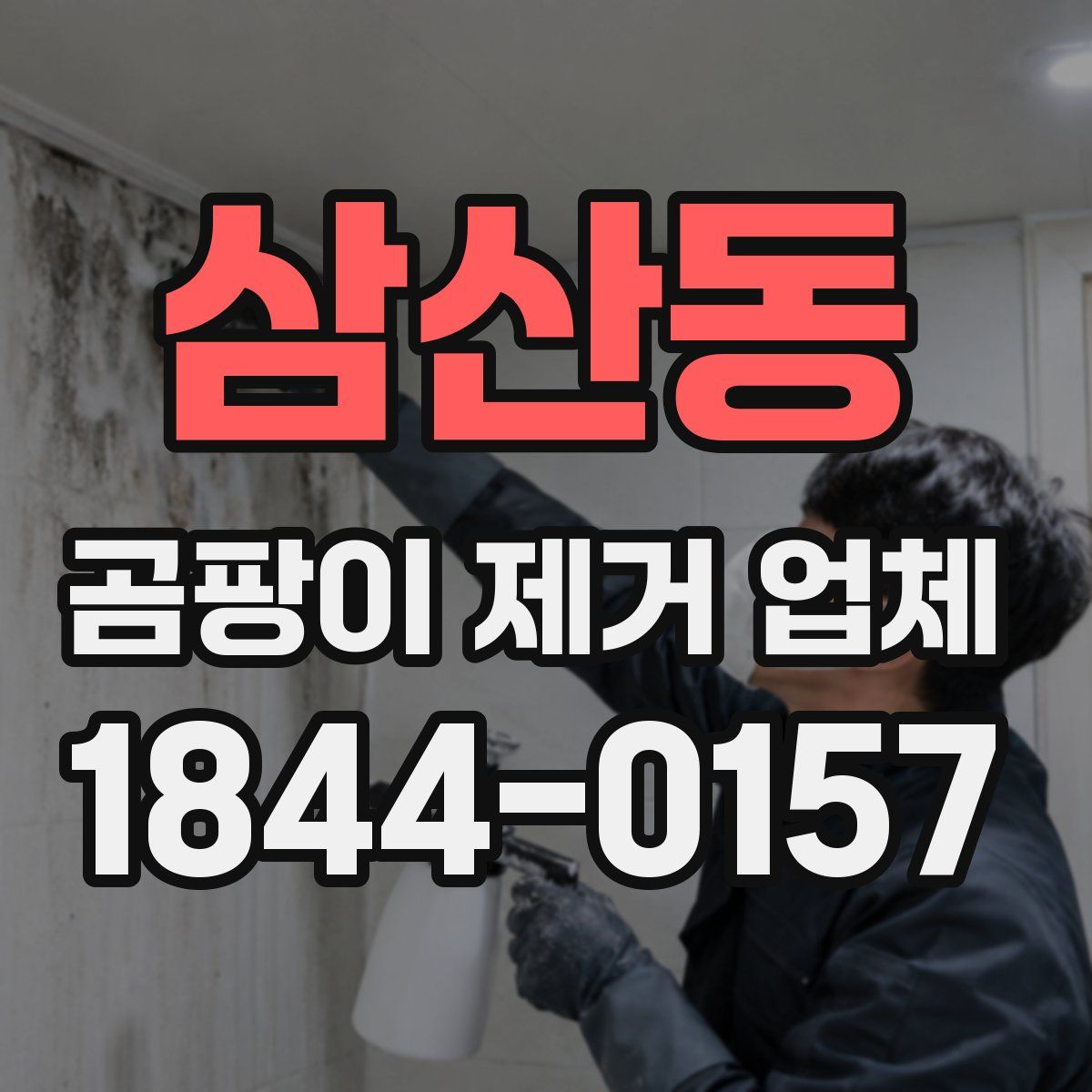 삼산동 곰팡이 제거 업체