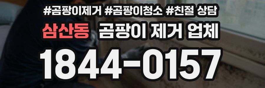 삼산동 곰팡이 제거 업체