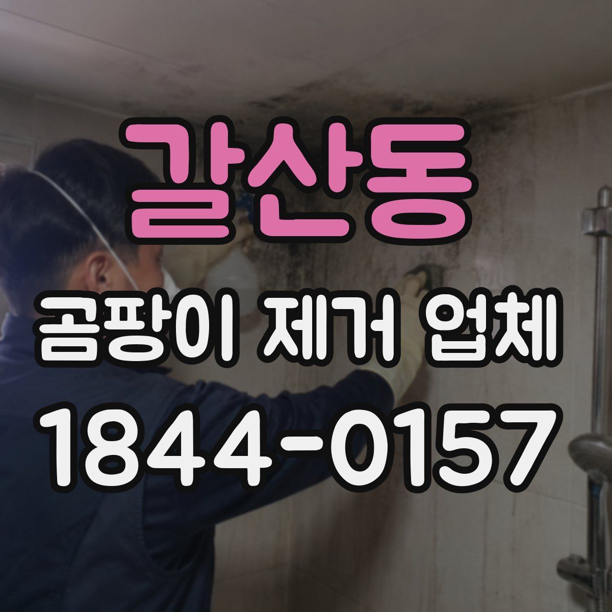 갈산동 곰팡이 제거 업체