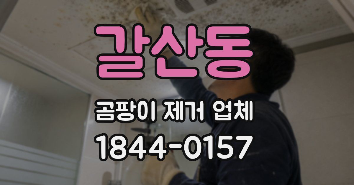 갈산동 곰팡이 제거 업체