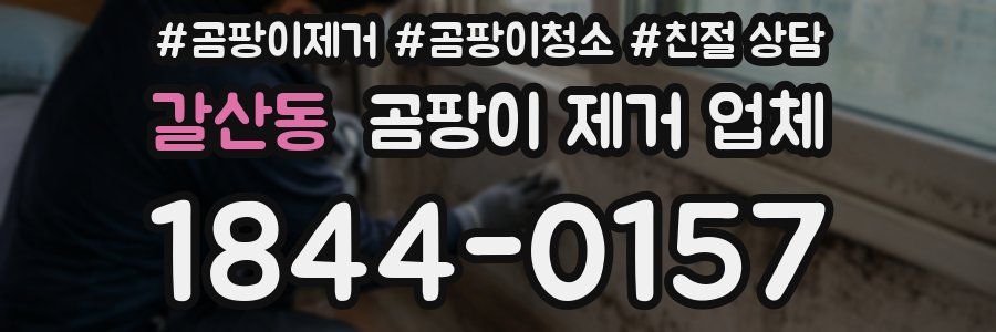 갈산동 곰팡이 제거 업체