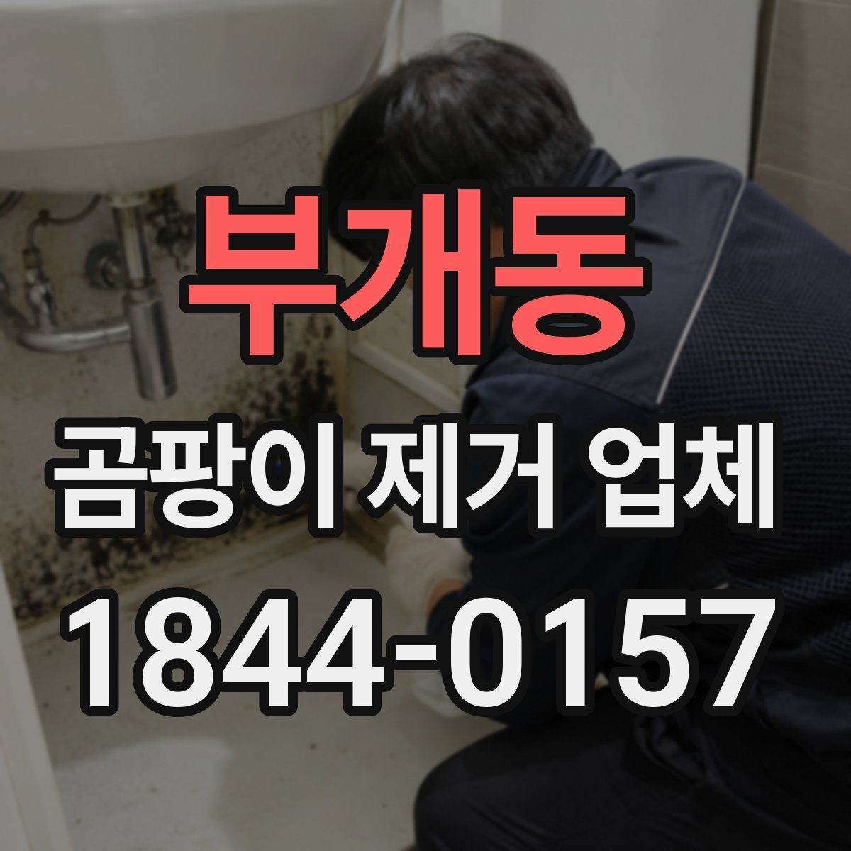 부개동 곰팡이 제거 업체 선정 시 주의할 점
