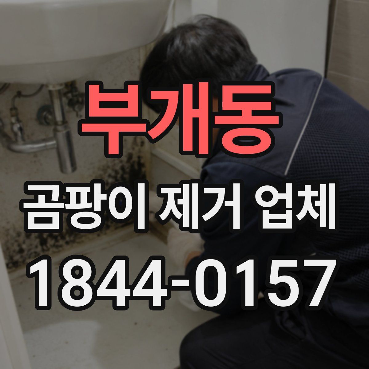 부개동 곰팡이 제거 업체