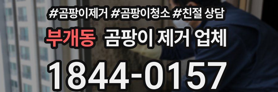 부개동 곰팡이 제거 업체