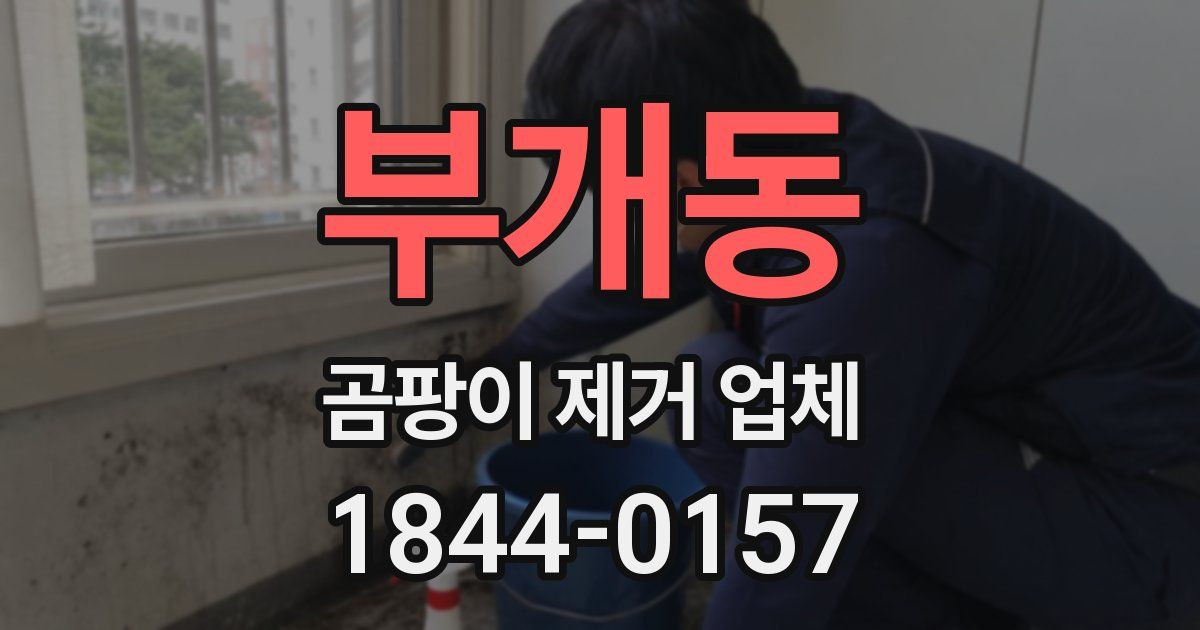 부개동 곰팡이 제거 업체