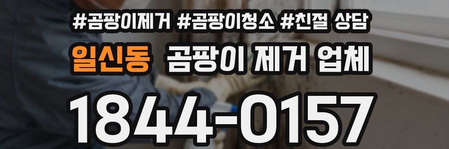 일신동 곰팡이 제거 업체