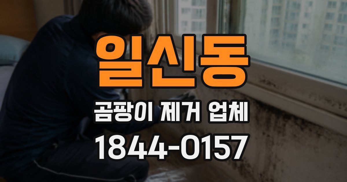 일신동 곰팡이 제거 업체