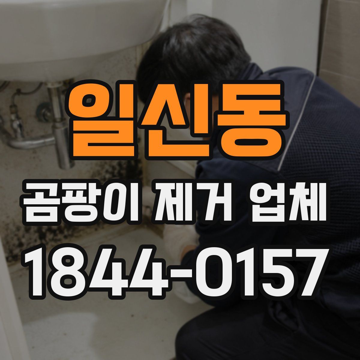 일신동 곰팡이 제거 업체