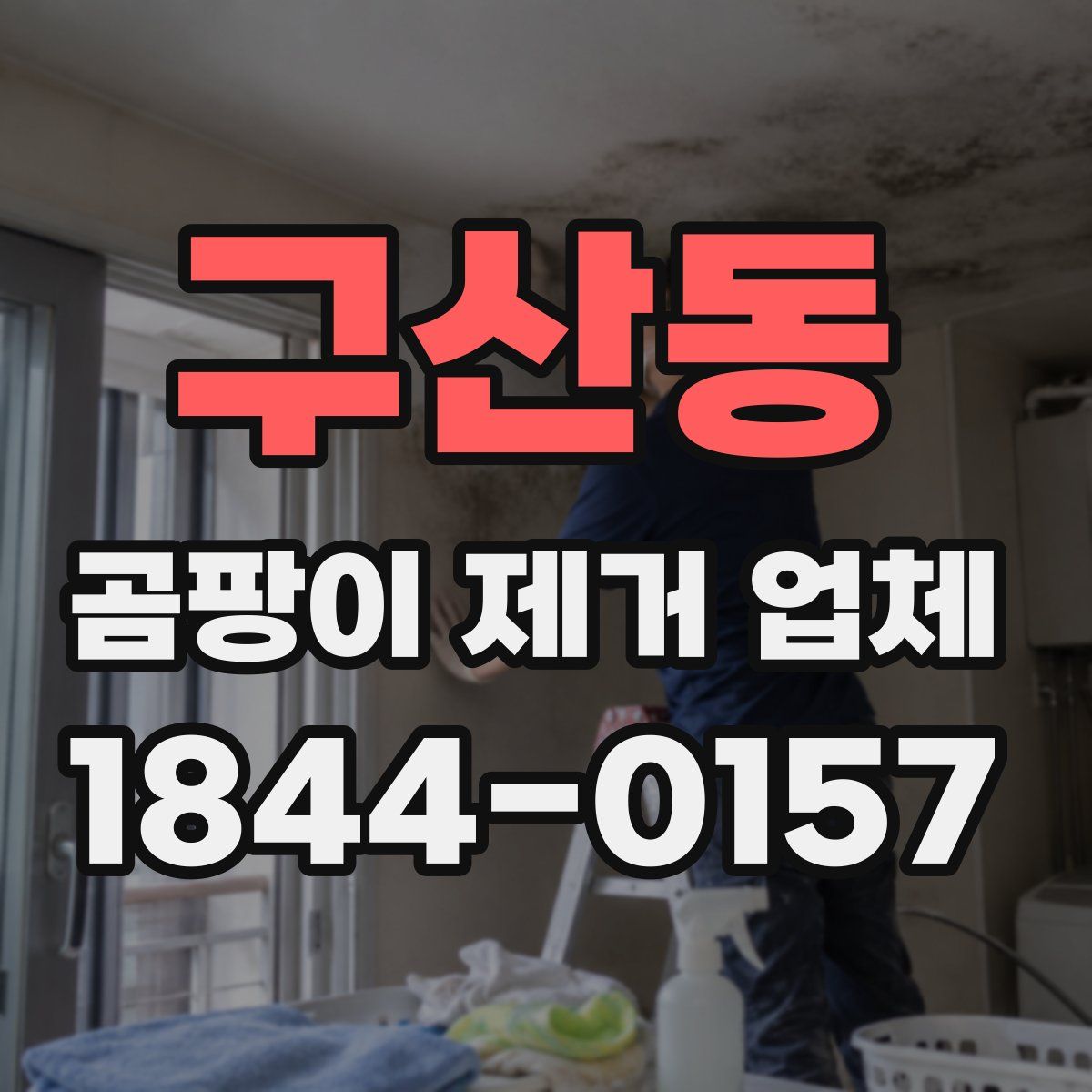 구산동 곰팡이 제거 업체
