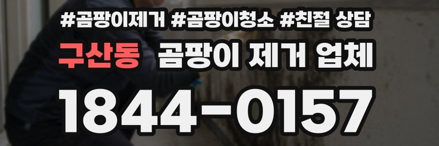 구산동 곰팡이 제거 업체