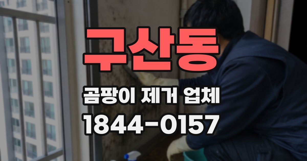 구산동 곰팡이 제거 업체