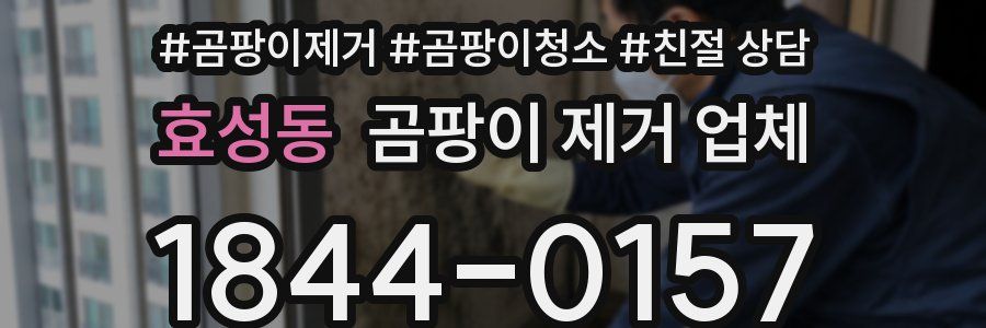 효성동 곰팡이 제거 업체