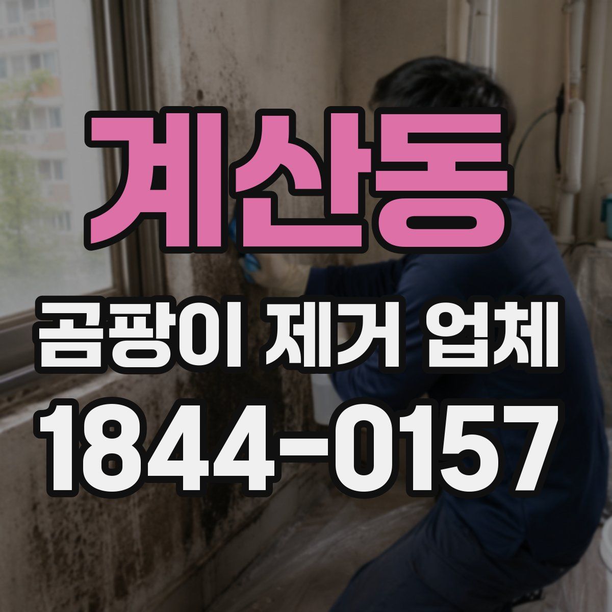 계산동 곰팡이 제거 업체