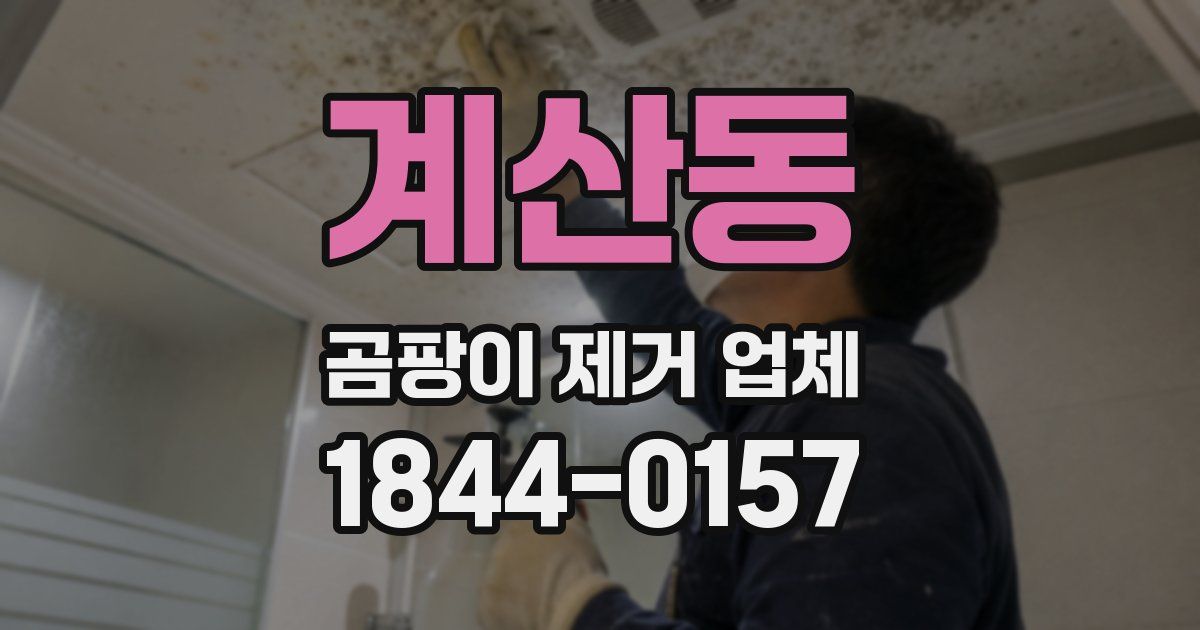 계산동 곰팡이 제거 업체