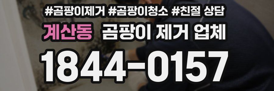 계산동 곰팡이 제거 업체