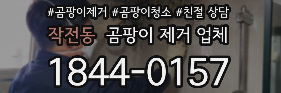 작전동 곰팡이 제거 업체