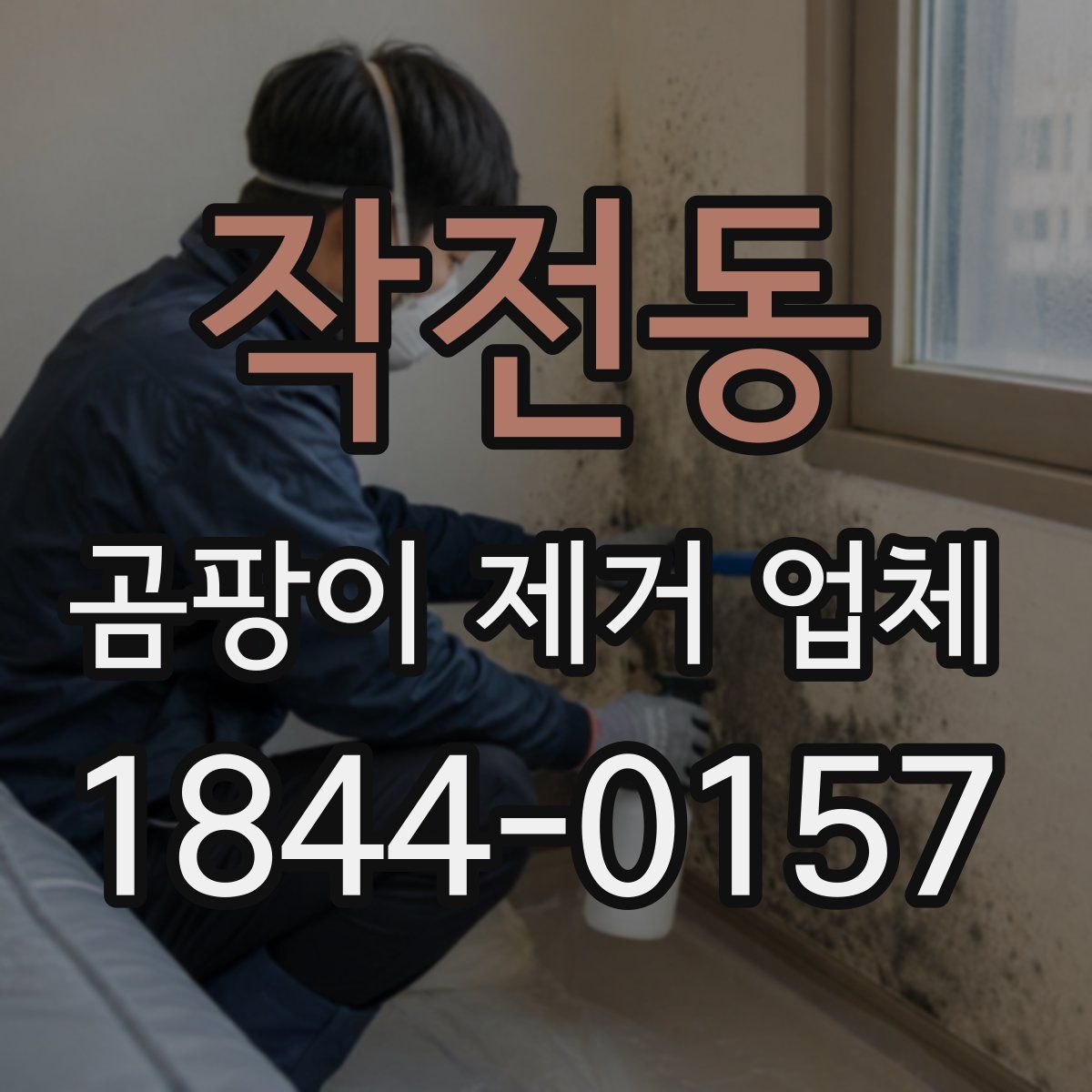 작전동 곰팡이 제거 업체