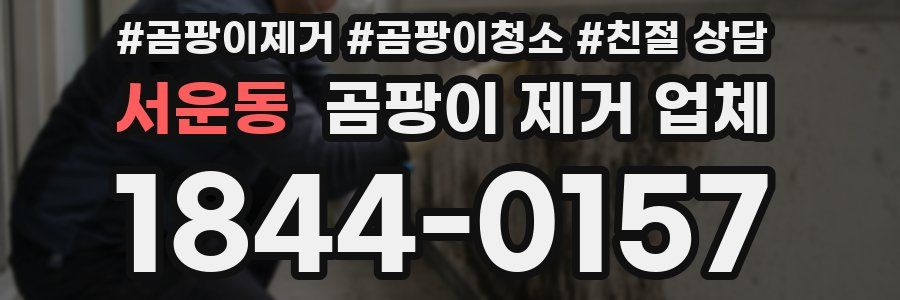 서운동 곰팡이 제거 업체