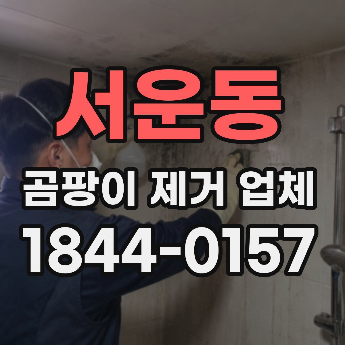 서운동 곰팡이 제거 업체