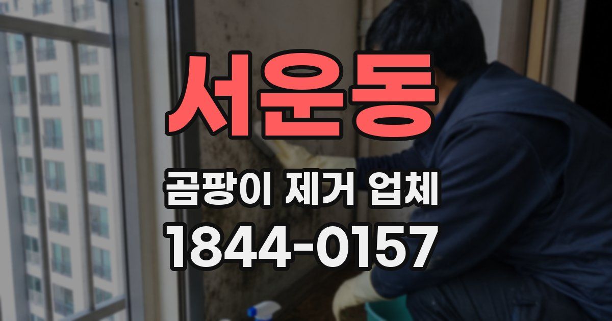 서운동 곰팡이 제거 업체