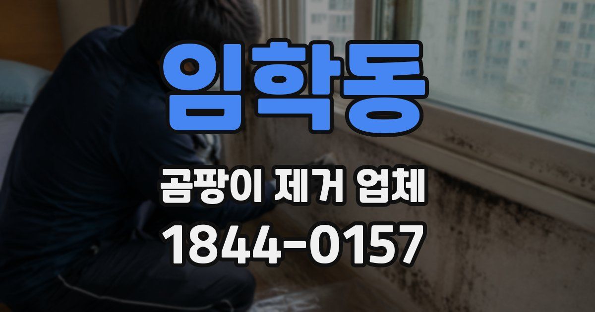 임학동 곰팡이 제거 업체